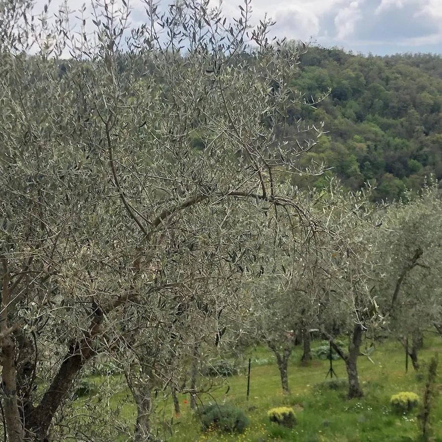 La Maison De Campagne Rigomagno Villa